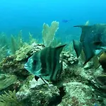 Vive Tulum Departamento De 2Br Con Alberca, Cerca De Cenotes Y Aeropuerto