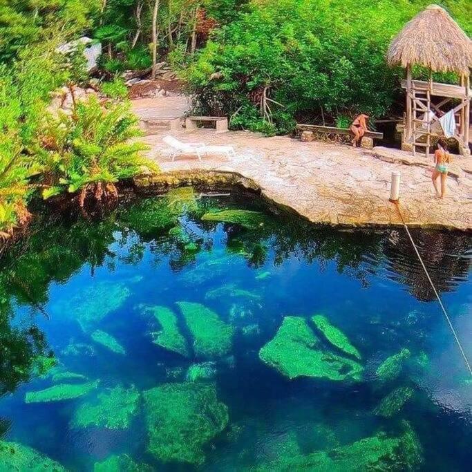 Apartamento Vive Departamento De 2br Con Alberca, Cerca De Cenotes Y Aeropuerto Tulum